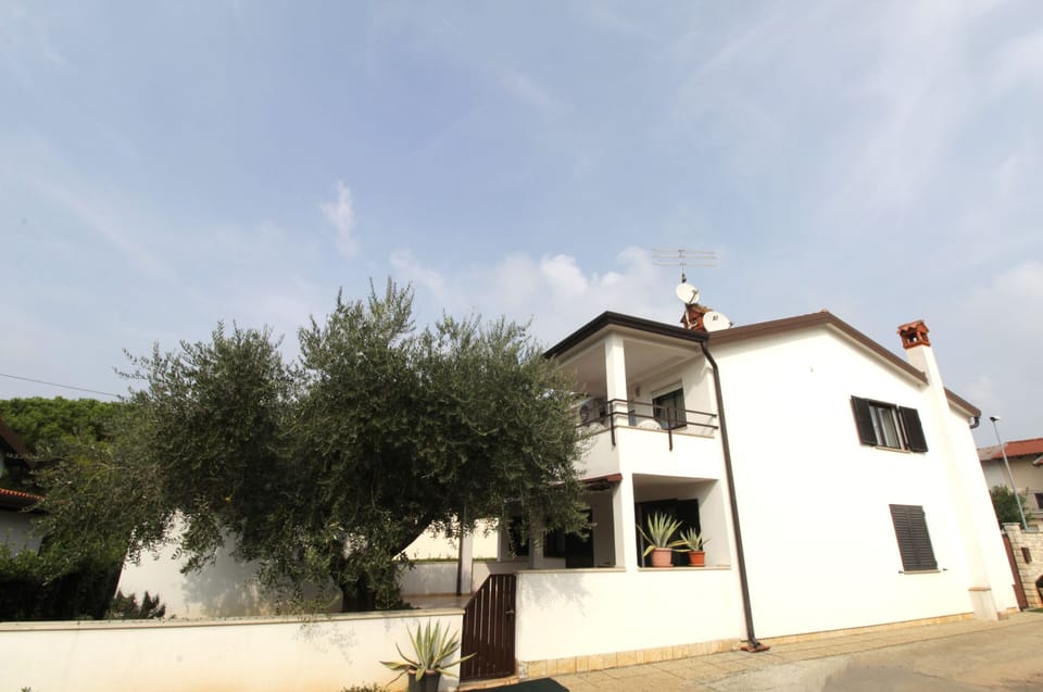 image/jpeg