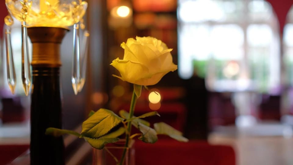 Apollofirst Boutique Hotel Hotel in Amsterdam
