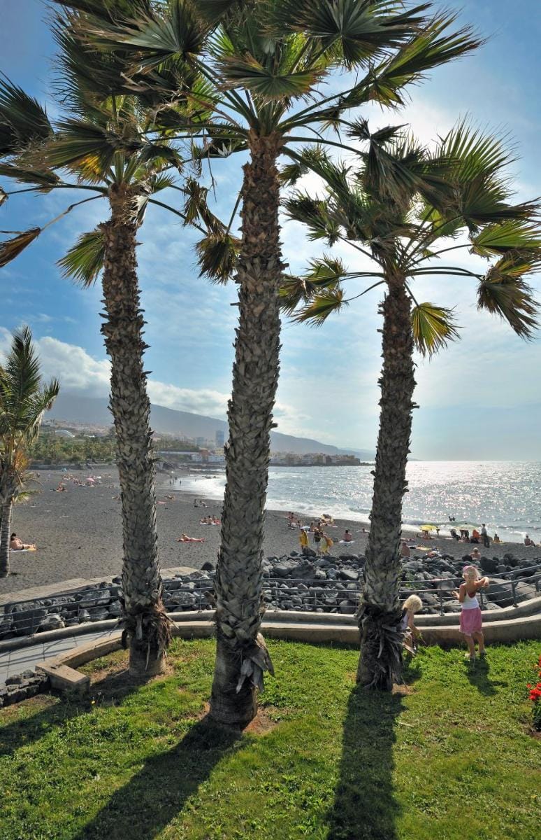 Sol Puerto de la Cruz Tenerife Hotel in Puerto de la Cruz