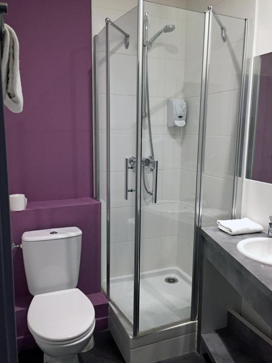 Hotel Des Ambassadeurs Hotel in Toulouse