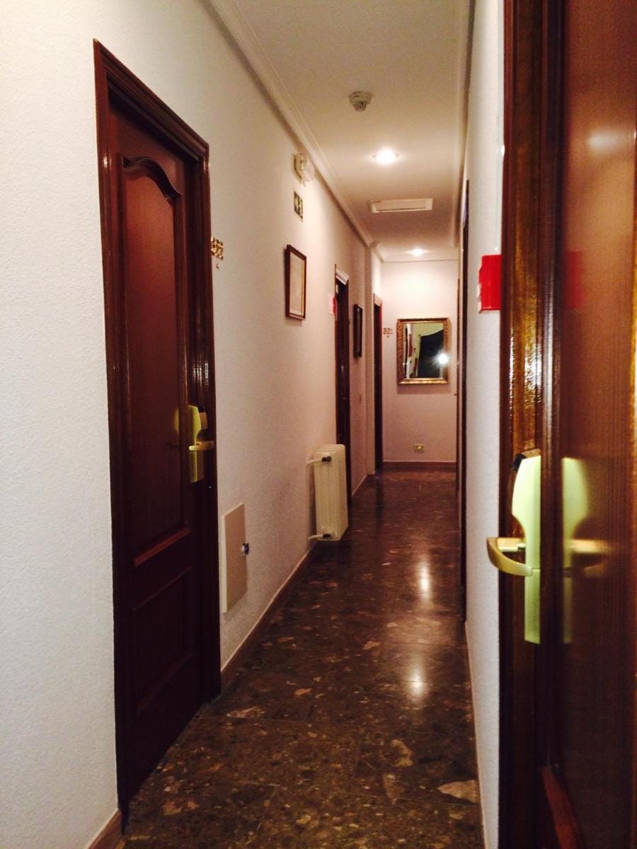 Hostal Sonsoles Madrid-Centro Bed and Breakfast in Centro