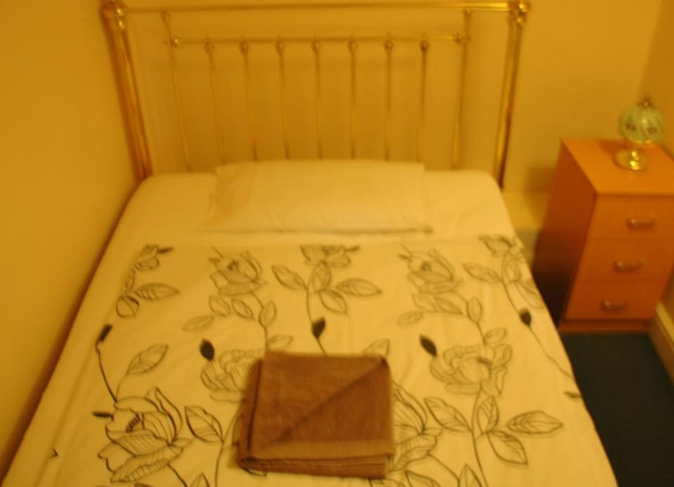Revive Lodge Bed and Breakfast in Hounslow