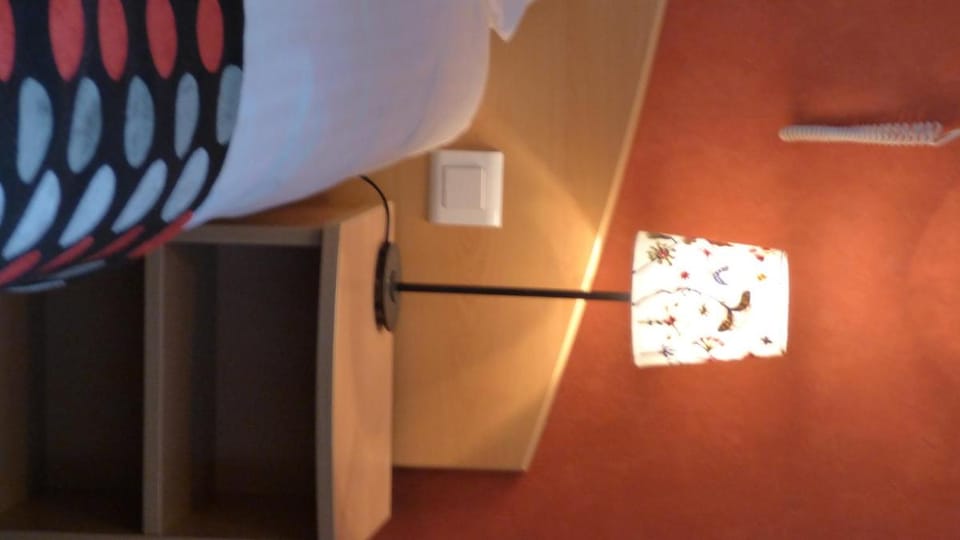 Citotel de La Vallee Hotel in Lourdes