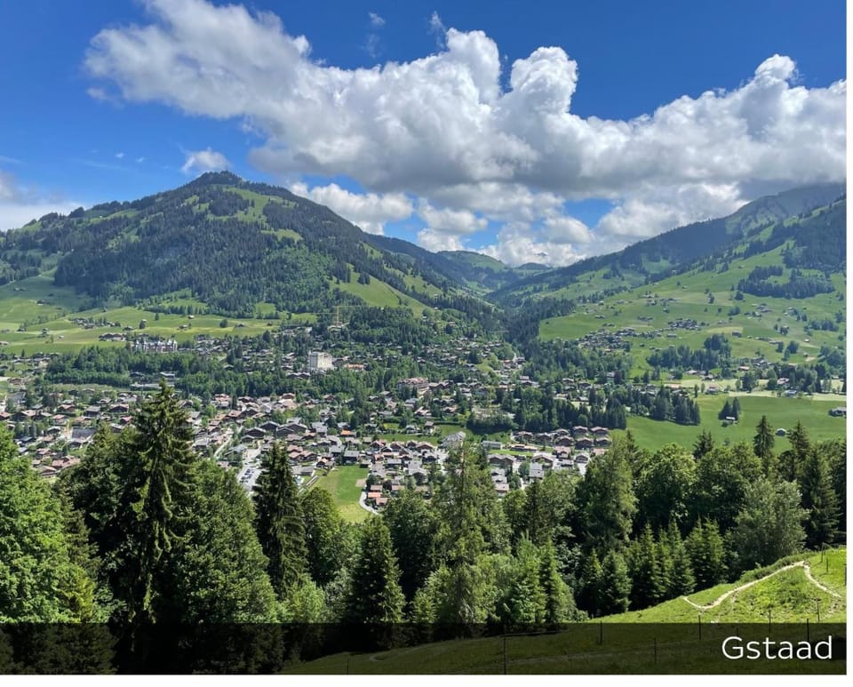 Hotel Arc-en-ciel Gstaad Hotel in Saanen