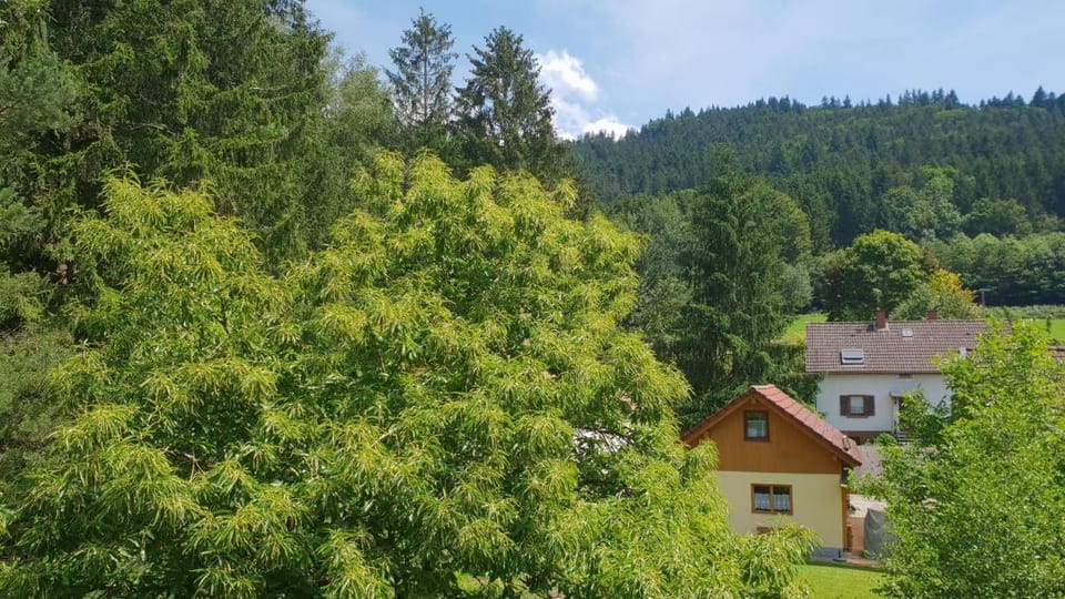 Silberkönig Schwarzwald Hotel & Restaurant Ringhotel Hotel in Baden-Württemberg