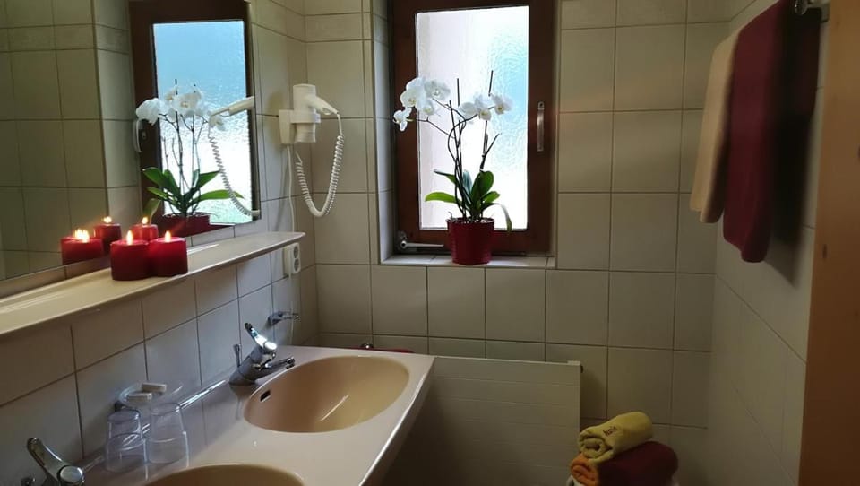 Apart Austria Apartment hotel in Mayrhofen