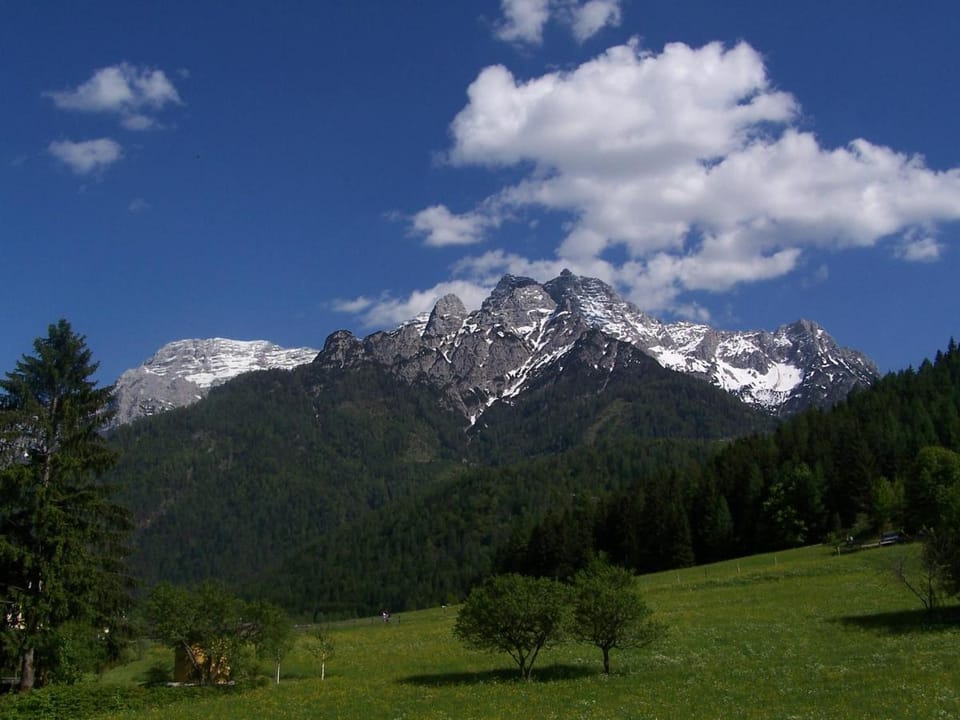 Hotel Tiroler Adler - bed and breakfast Hotel in Salzburgerland