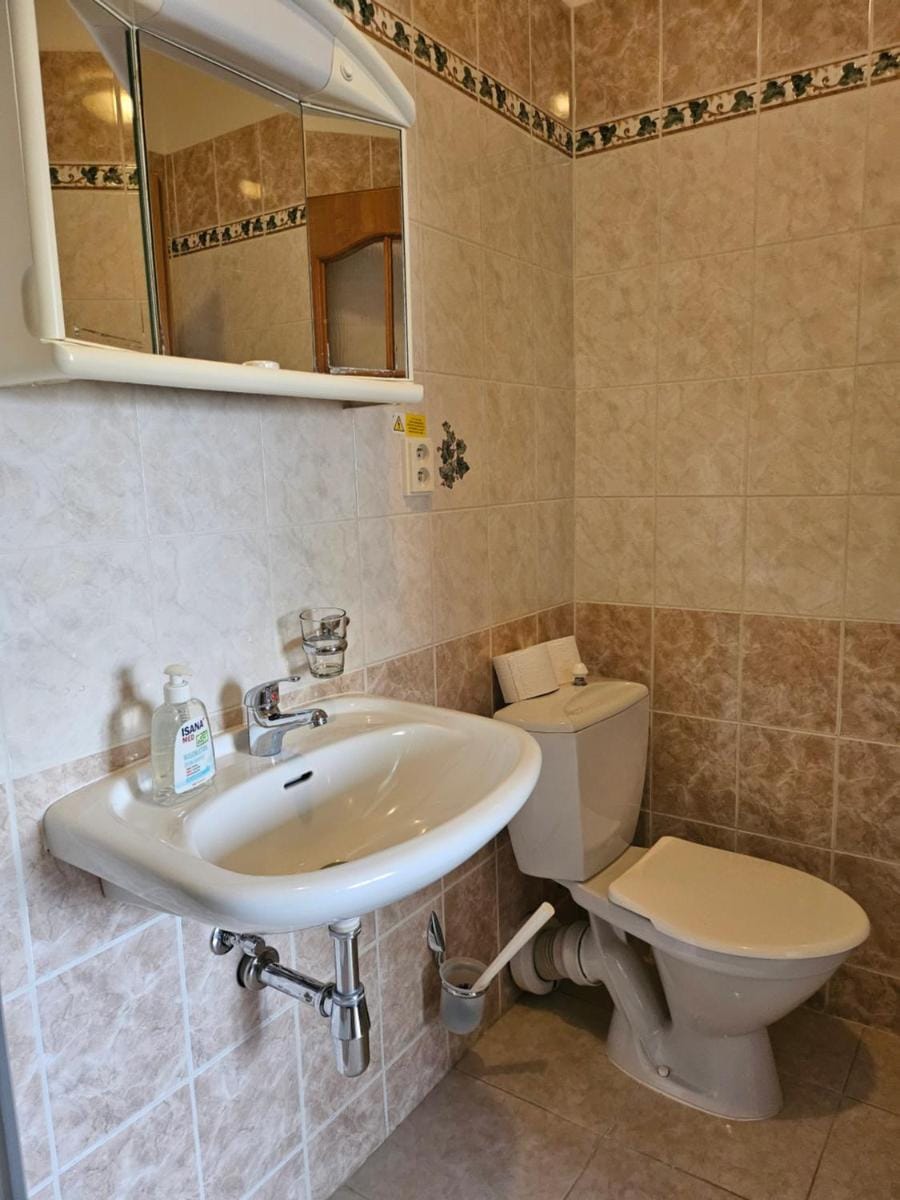 Brezina Pension Hotel in Prague