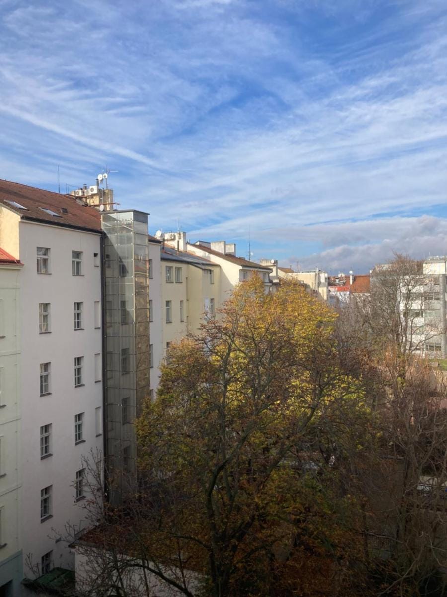 Brezina Pension Hotel in Prague