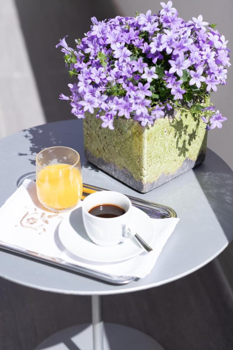 Palazzo Schiavoni Residenza d'epoca Bed and Breakfast in Venice