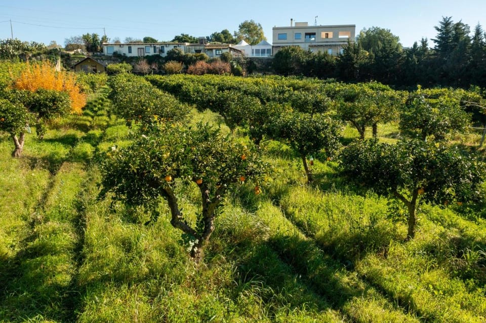 Agriturismo Vultaggio Farm Stay in Sicily