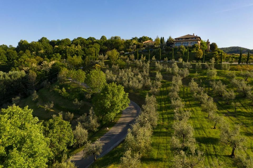 Il Poggio degli Olivi Farm Stay in Umbria