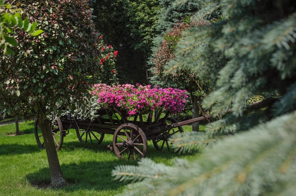 Booking Hotel & Spa Hotel in Krakow