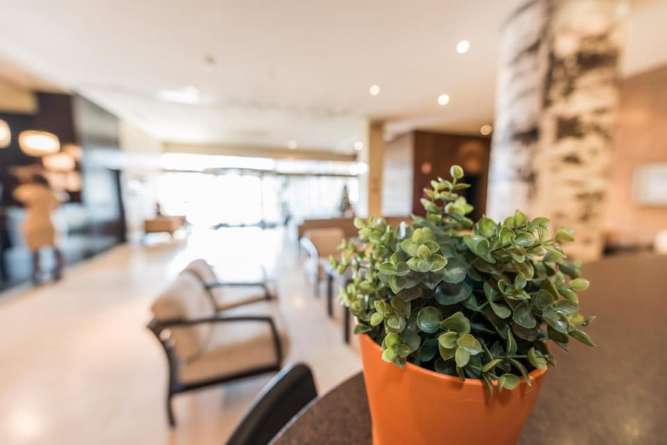 Hotel Mercader Hotel in Madrid