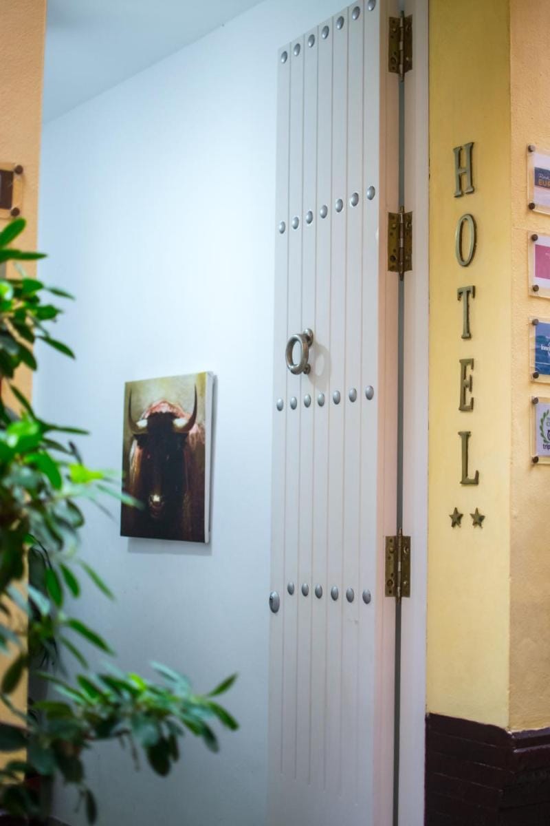 Un Patio en Santa Cruz Hotel in Seville