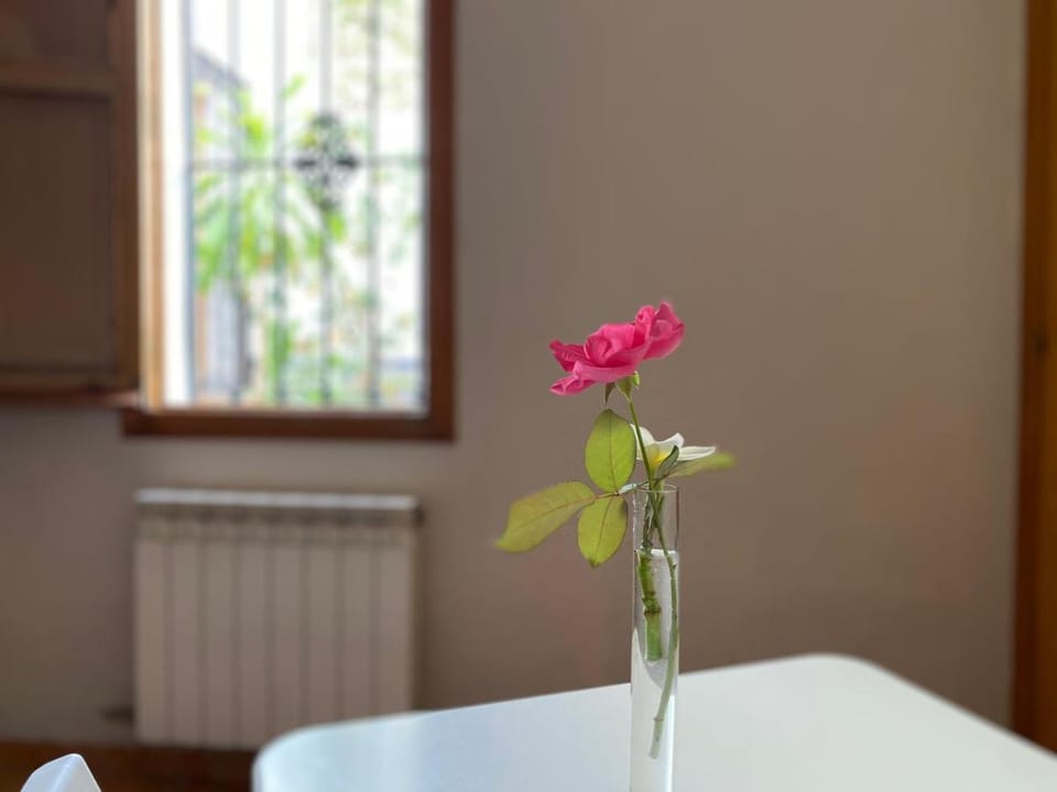 Hostal Moscatel Bed and Breakfast in Malaga