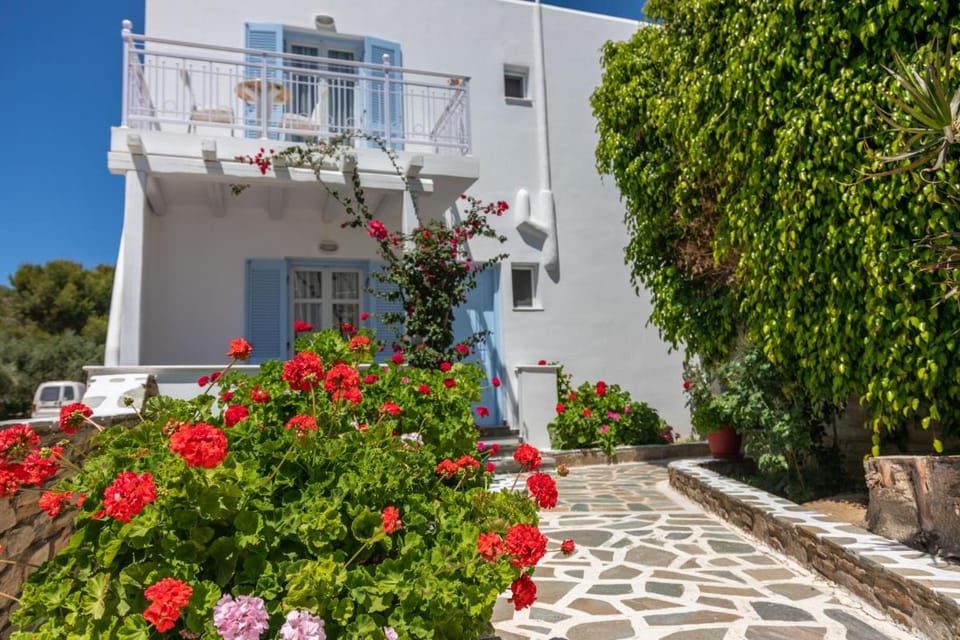 Katerina Hotel Hotel in Agios Prokopios