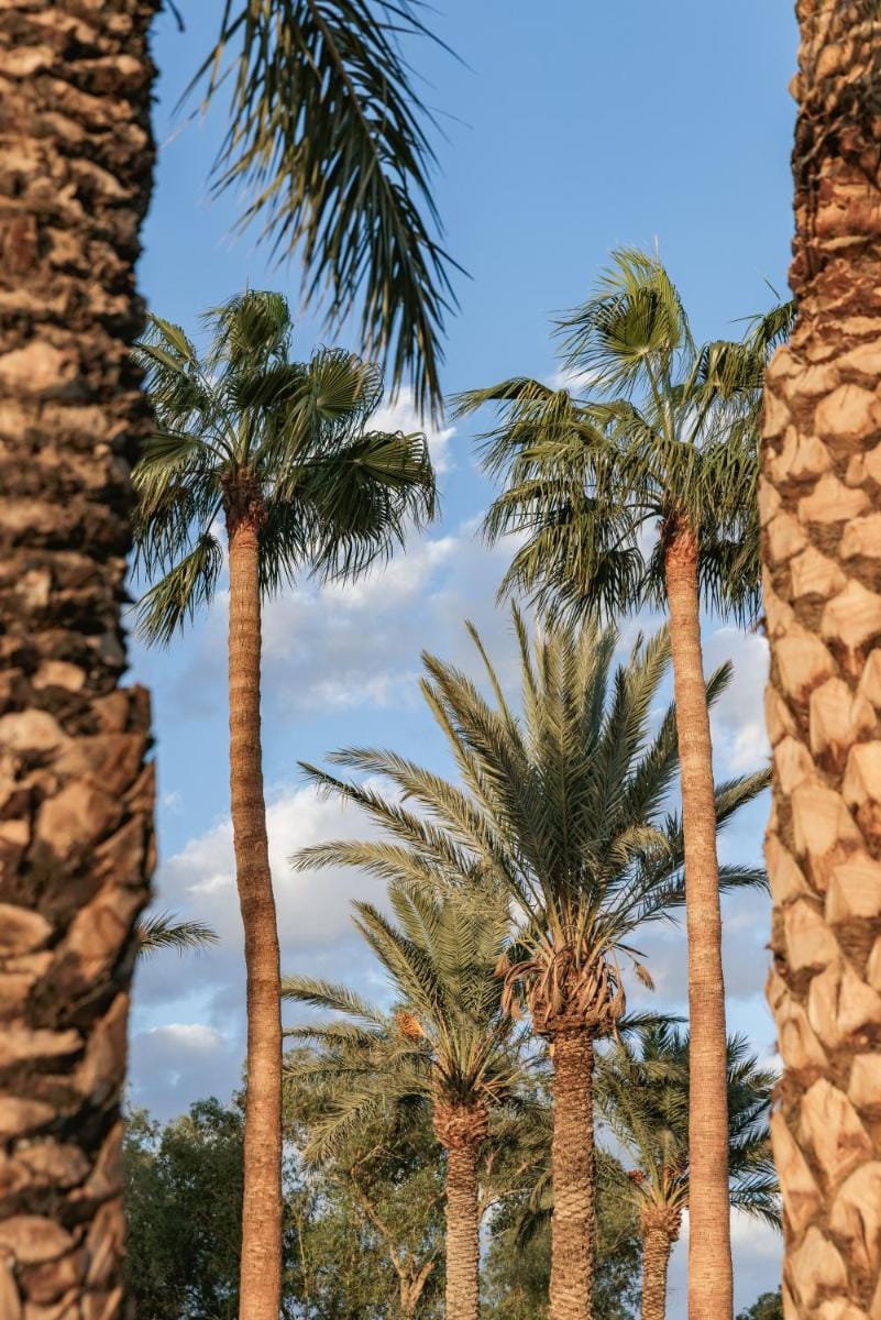 Kenzi Azghor Hotel in Souss-Massa