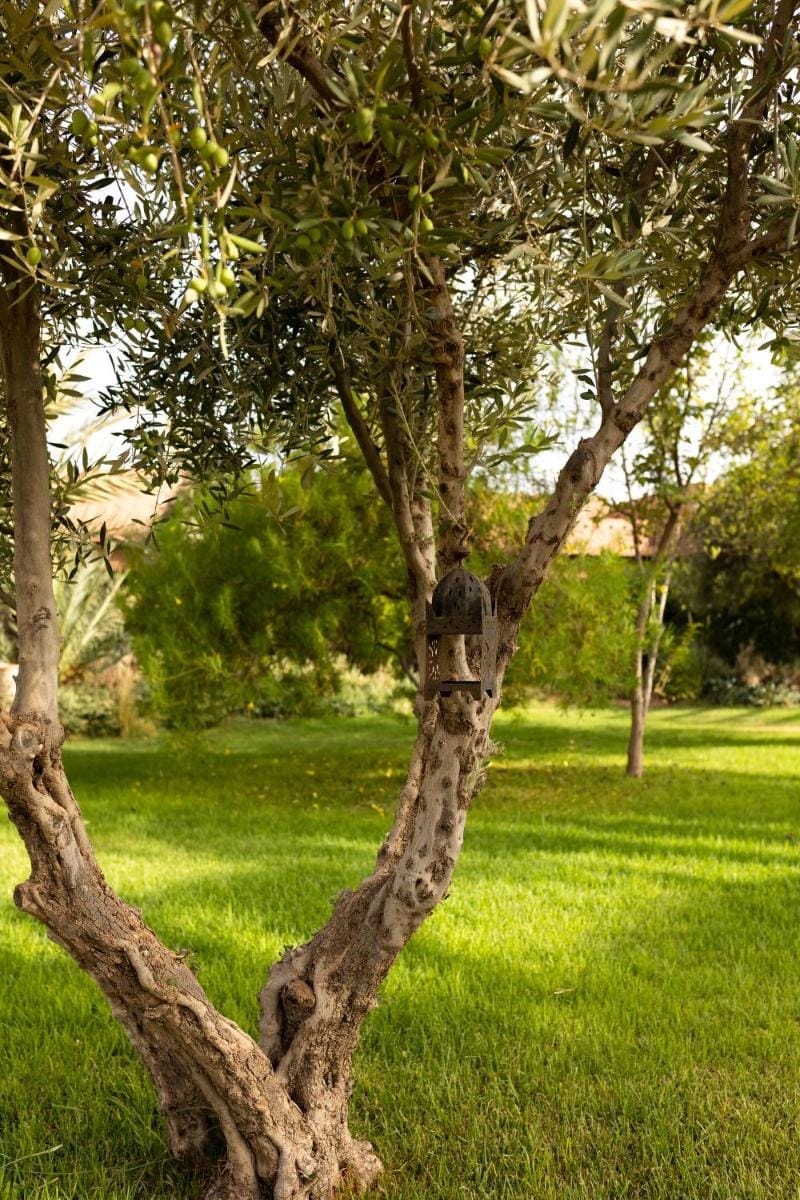 Domaine des Remparts Hotel Hotel in Marrakesh