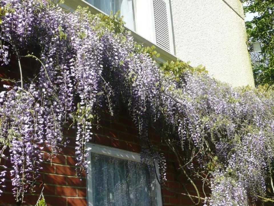 The Bahamas Bed and Breakfast in Torquay