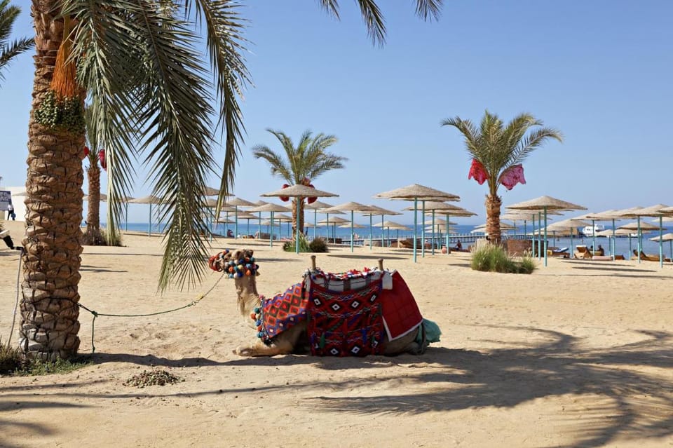 Three Corners Sunny Beach Resort Resort in Hurghada