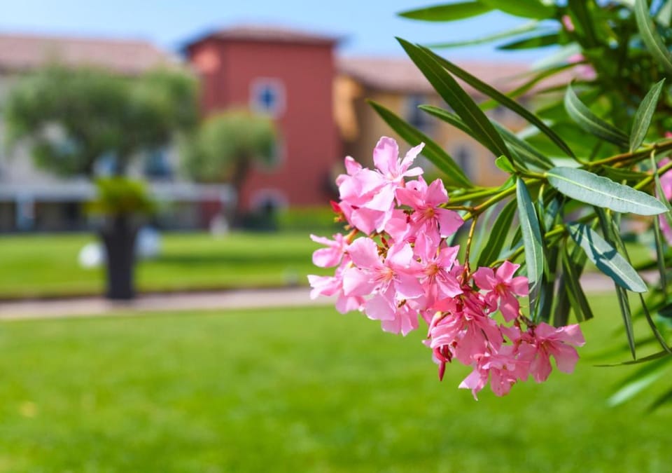 TH Lazise - Hotel Parchi Del Garda Hotel in Lake Garda