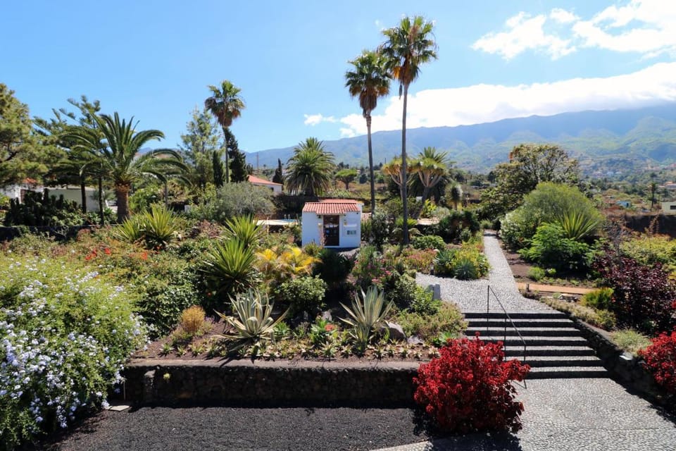 Apartamentos Miranda Apartment in La Palma