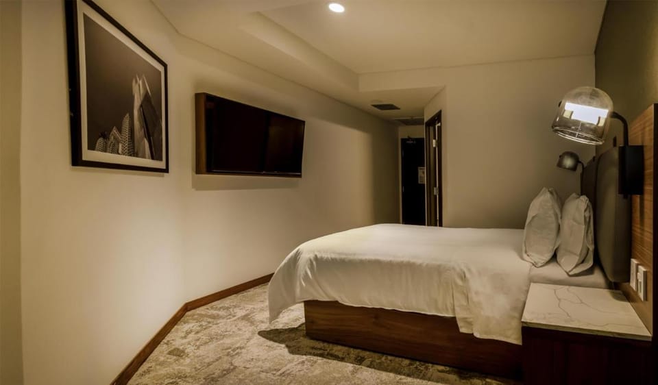 Hilton Garden Inn Mexico City Polanco Hotel in Mexico City