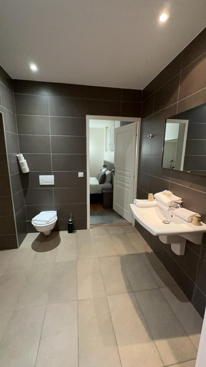 Icone Hotel - Annecy Hotel in Annecy
