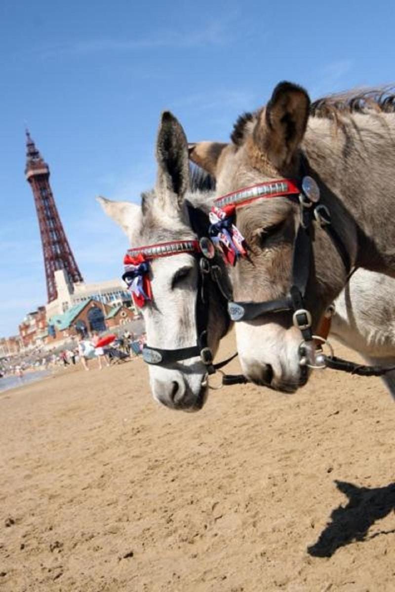 The Savoy Hotel Hotel in Blackpool