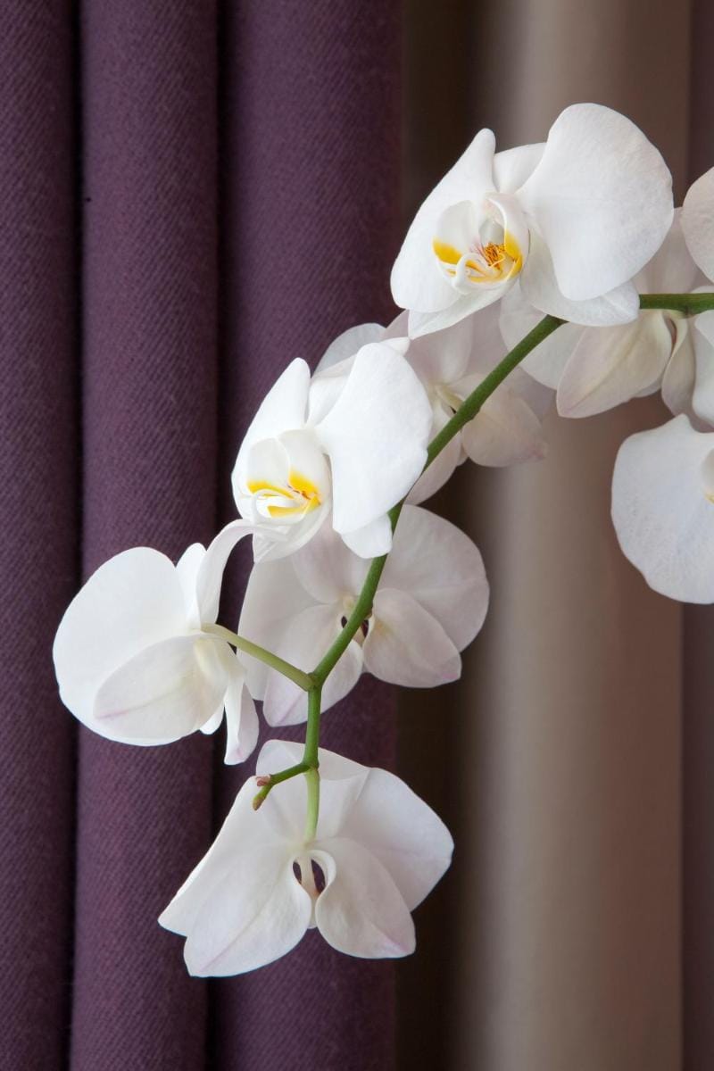 Duret Hotel in Paris