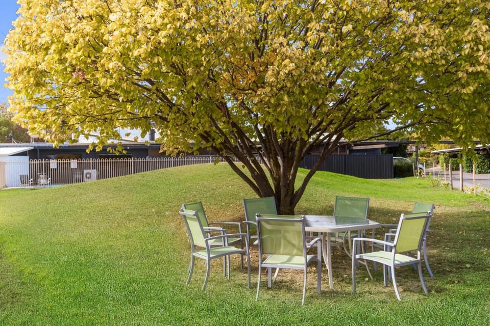 The Wine Vine Hotel Motel in Tanunda