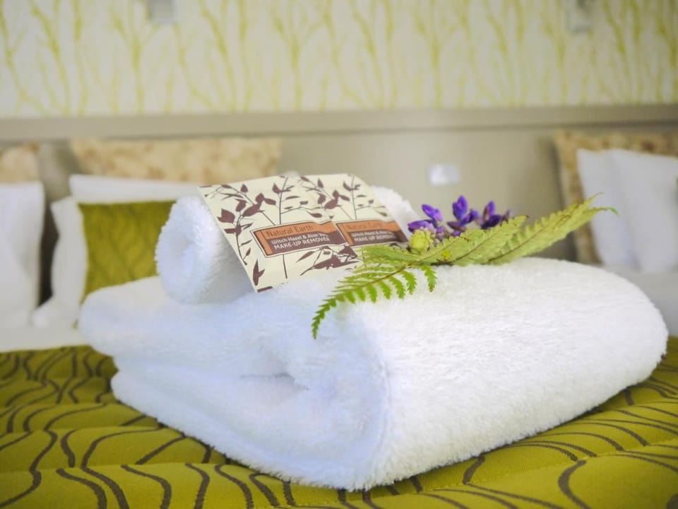 The Terrace Hotel in Franz Josef / Waiau