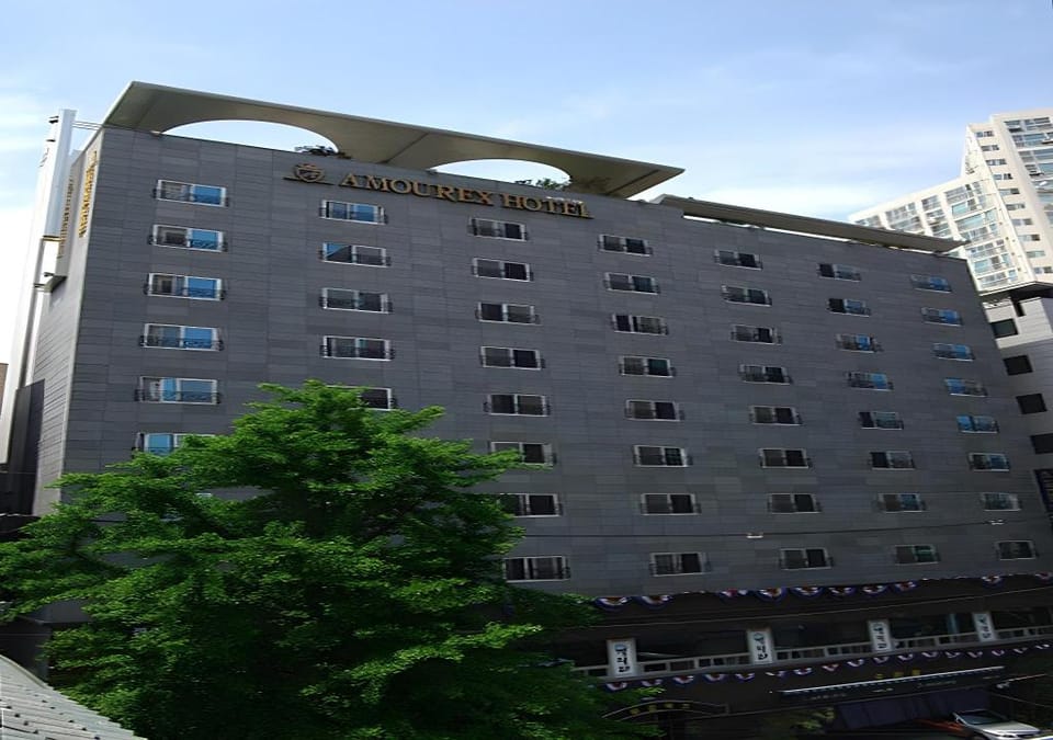 Amourex Hotel Hotel in Seoul