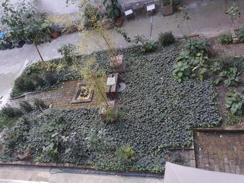 Connection Guesthouse Bed and Breakfast in Budapest