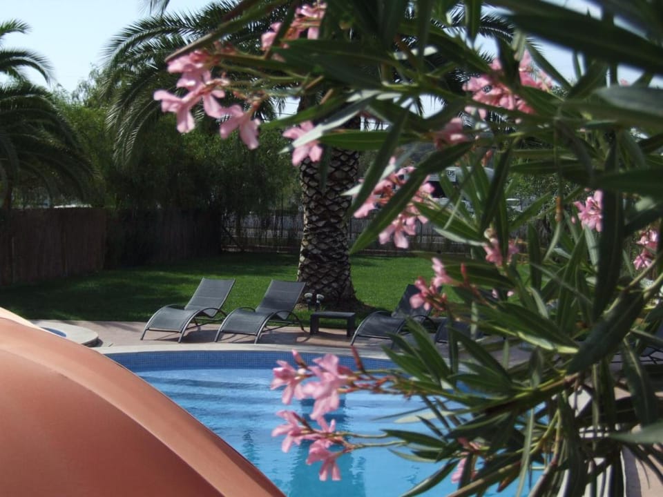 Casa Do Vale Hotel Hotel in Evora