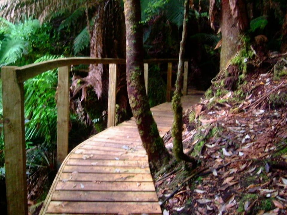 Huon Bush Retreats Hotel in Tasmania