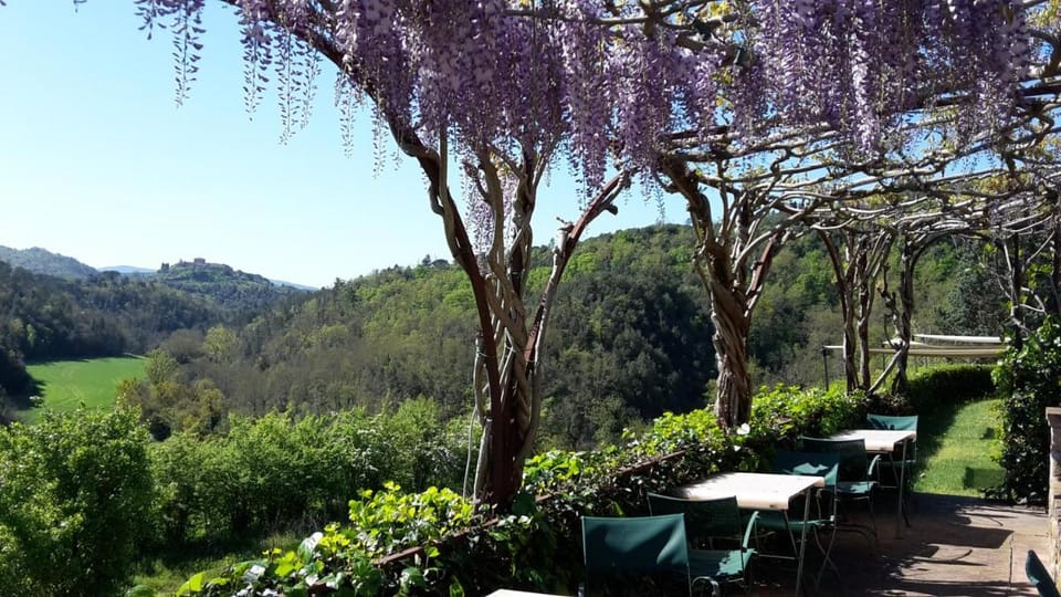 Bosco Della Spina Country House in Tuscany