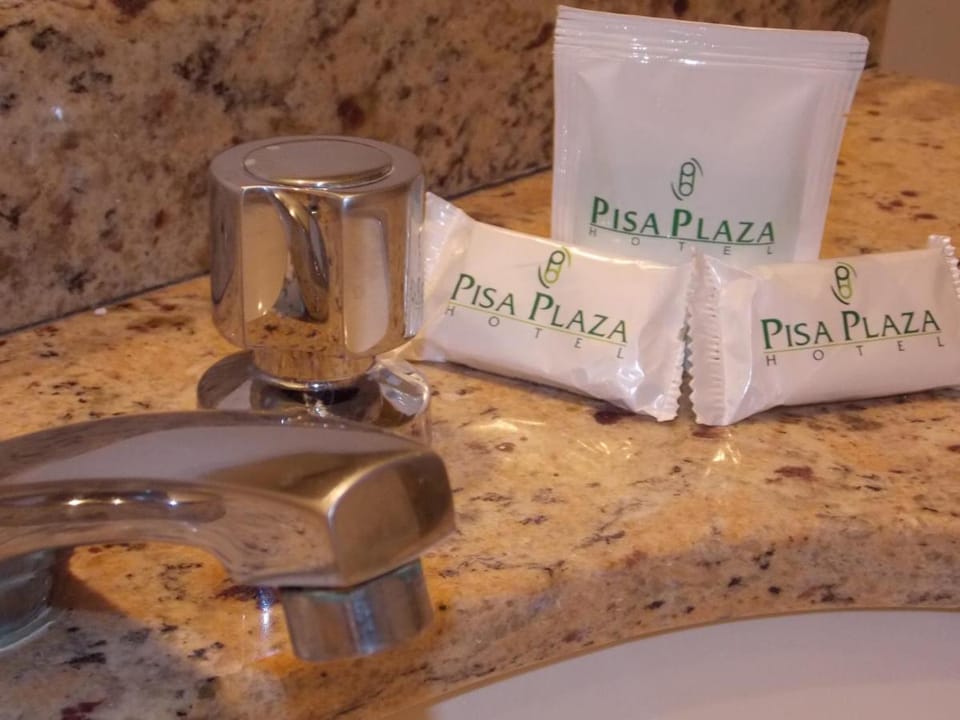 Pisa Plaza Hotel Hotel in Salvador