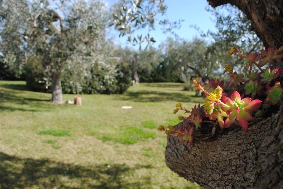 Hotel Giardino Giamperduto Hotel in Basilicata