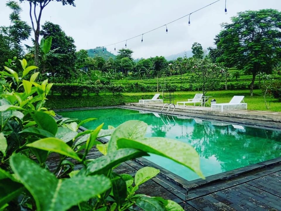 Tea Garden Resort Hotel in West Java