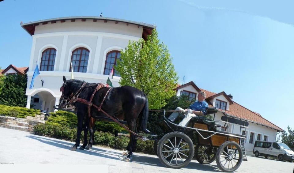 Bodrogi Kúria Wellness Hotel Hotel in Hungary