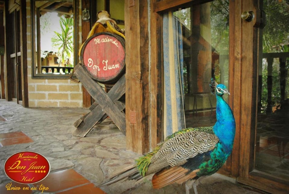 Hotel Hacienda Don Juan Hotel in San Cristobal de Casas
