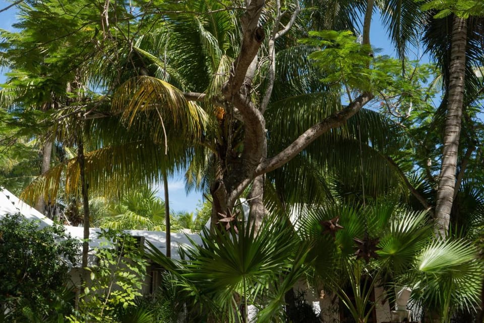 Zomay Beachfront Holbox Hotel in Holbox