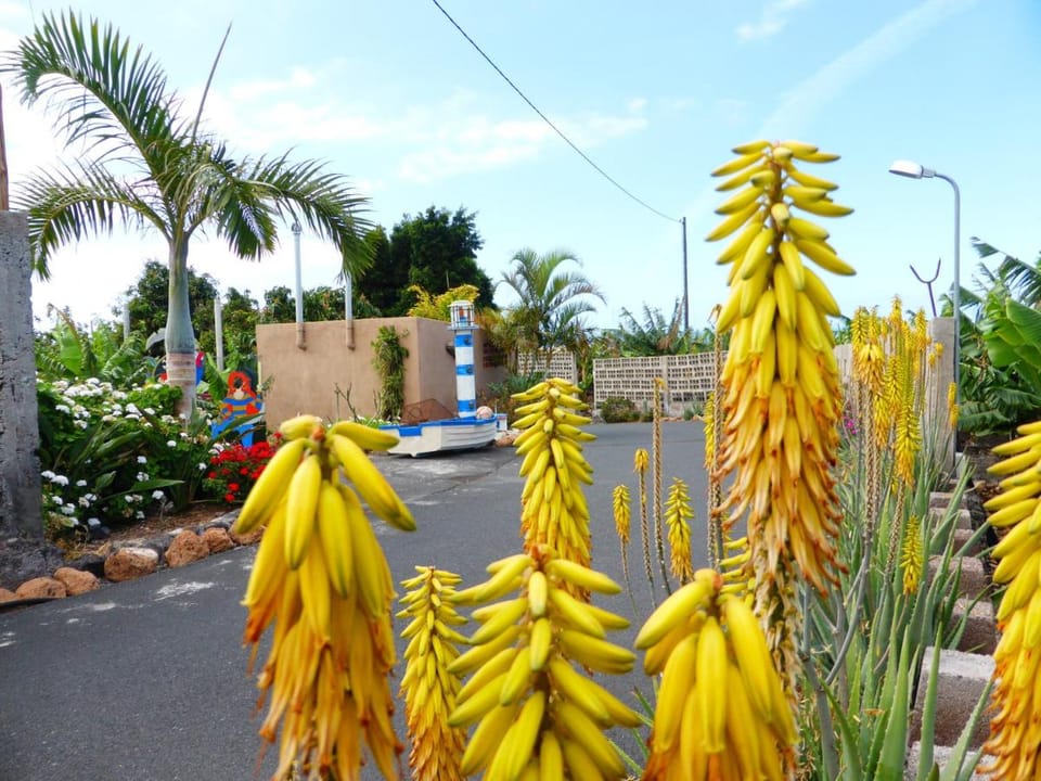Hotel Rural El Navío - Adults Only Hotel in Canary Islands