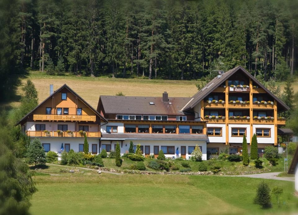 Auerhahn Bed and Breakfast - Black Forest - Waldhotel Hotel in Baden-Württemberg