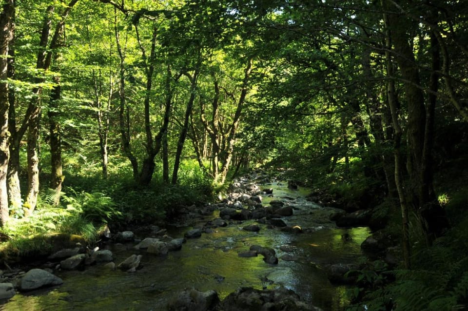 Auberge De La Providence Bed and Breakfast in Auvergne-Rhône-Alpes