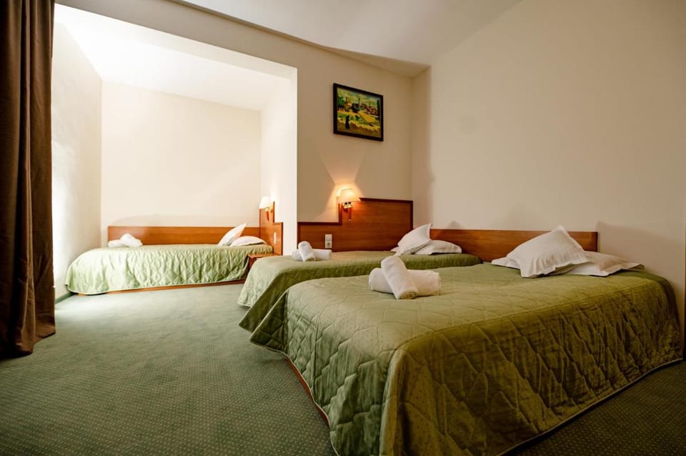 Hotel Rivulus Hotel in Romania
