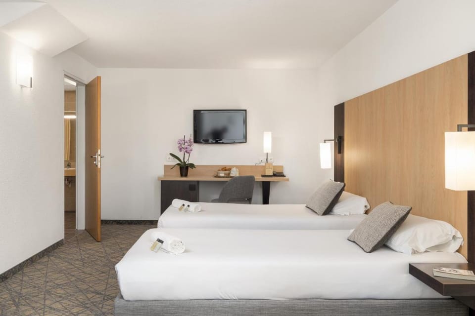 Hôtel Eliseo Hotel in Lourdes