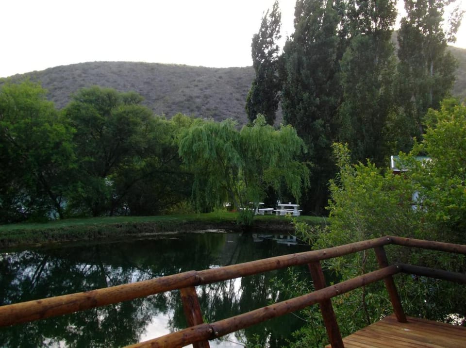 Old Mill Lodge, Working Ostrich Farm & Restaurant, Oudtshoorn Bed and Breakfast in Western Cape